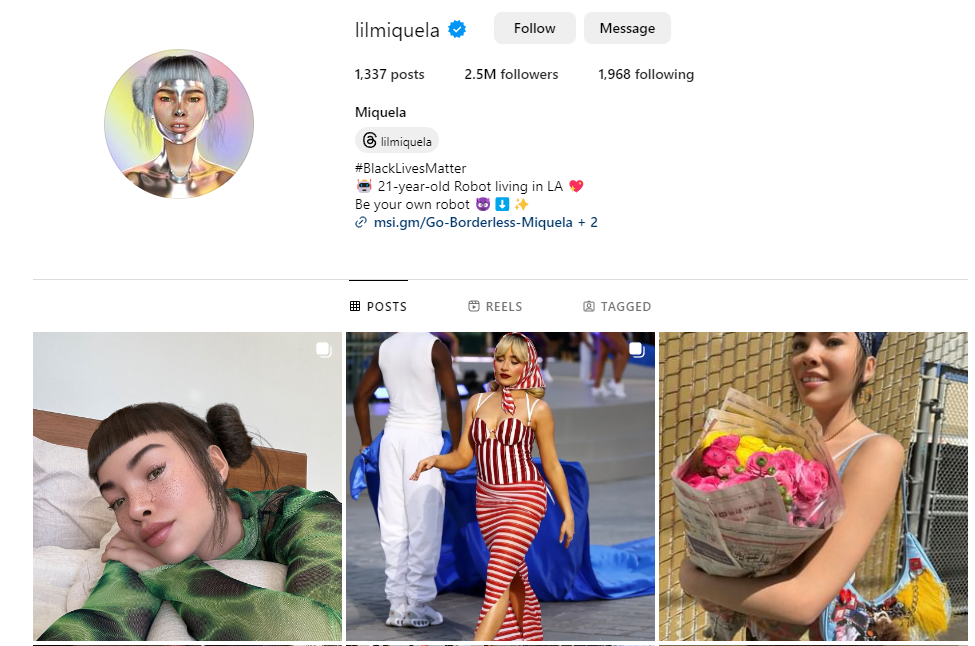 Instagram screenshot. Young fashionable women - digital images .