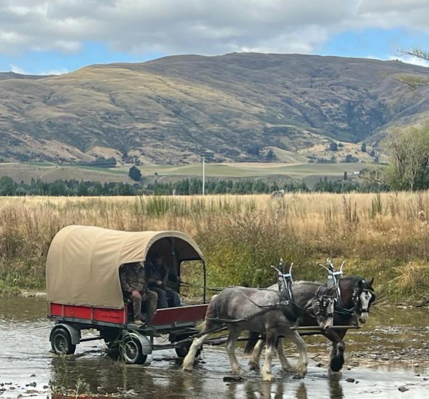 Covered wagon drawn by two horses crossing a country stream