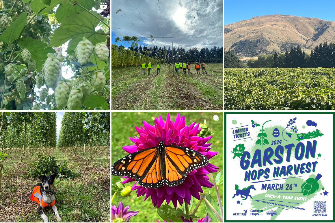 Garston Hops Instagram